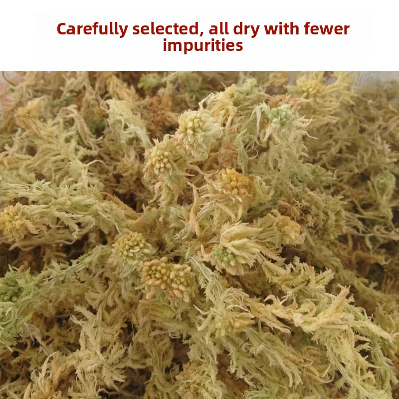 Grade A Dried Sphagnum Moss, N - Preserved Moss Sheet 评论和价格